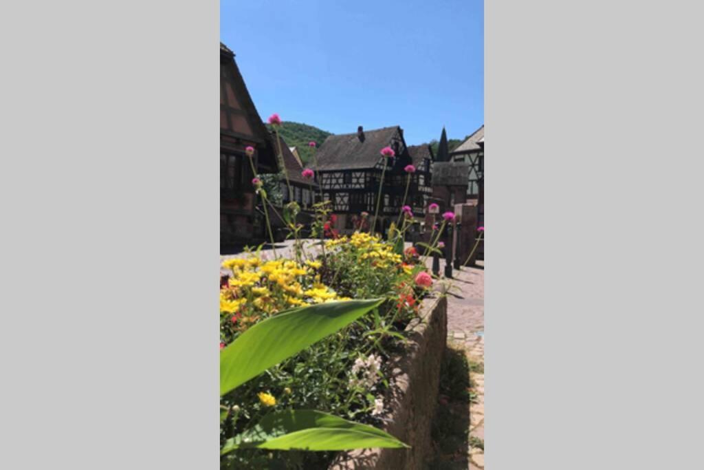 Coeur Alsace Apartment กอลมาร์ ภายนอก รูปภาพ