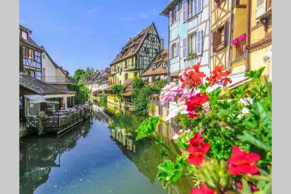 Coeur Alsace Apartment กอลมาร์ ภายนอก รูปภาพ