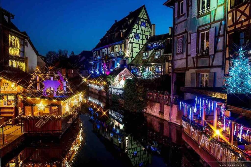 Coeur Alsace Apartment กอลมาร์ ภายนอก รูปภาพ
