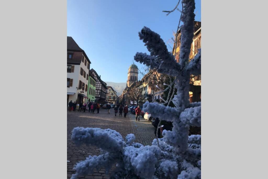 Coeur Alsace Apartment กอลมาร์ ภายนอก รูปภาพ