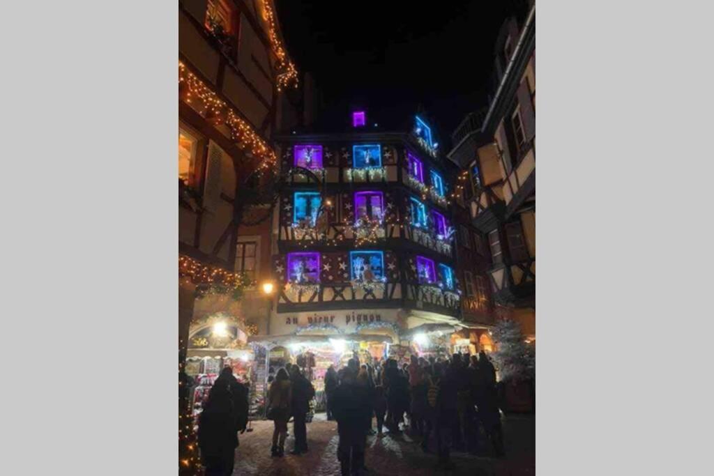 Coeur Alsace Apartment กอลมาร์ ภายนอก รูปภาพ