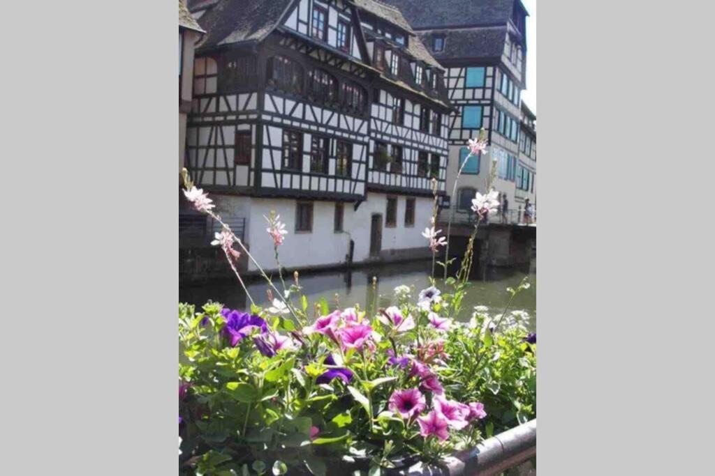 Coeur Alsace Apartment กอลมาร์ ภายนอก รูปภาพ